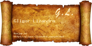 Gligor Lizandra névjegykártya